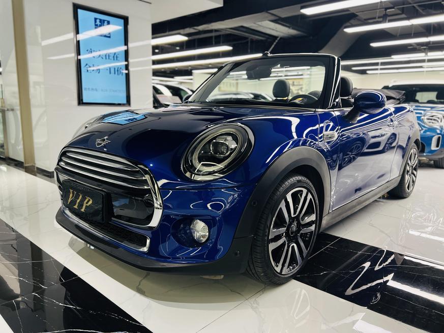 r218860-mini-2019_0