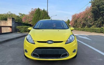r219035-ford-festiva-2010_0