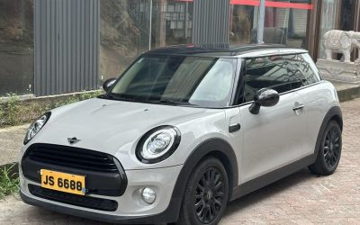 r219066-mini-2018_0