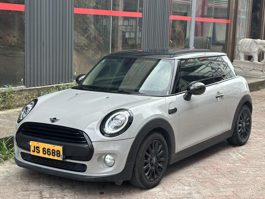 r219066-mini-2018_0