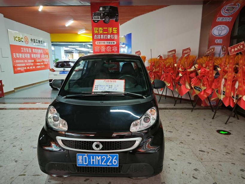 r219101-smart-fortwo-2013_0