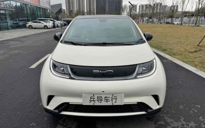 r219117-byd-dolphin-2022_0