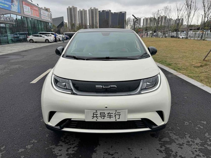r219117-byd-dolphin-2022_0