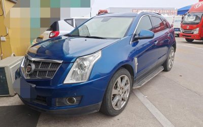 r219125-cadillac-srx-2010_0