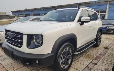 r219200-haval-dargo-2022_0