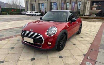 r219266-mini-2016_0