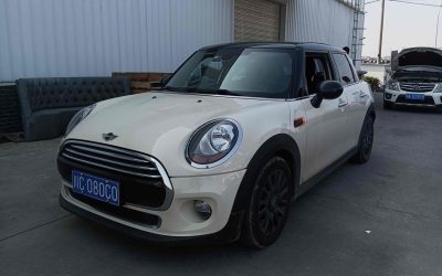r219299-mini-2018_0
