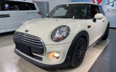 r219328-mini-2017_0