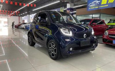 r219361-smart-fortwo-2017_0