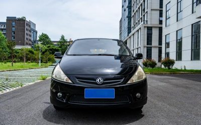 r219396-dongfeng-forthing-jingyi-2011_0