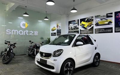 r219427-smart-fortwo-2018_0