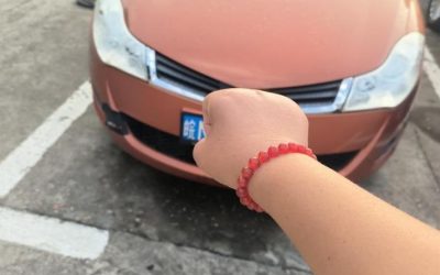 r219458-chery-fulwin-2-2011_0