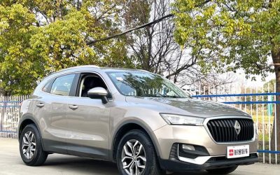 r219465-borgward-bx5-2020_0