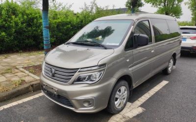 r219503-dongfeng-forthing-lingzhi-2019_0