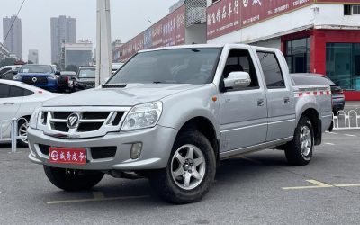 r219539-foton-sup-2017_0