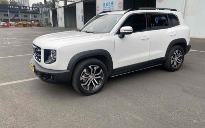 r219593-haval-dargo-2021_0
