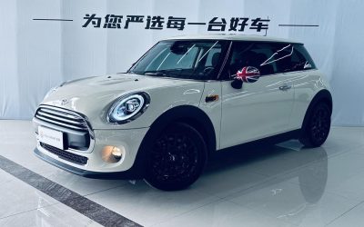 r219657-mini-2018_0