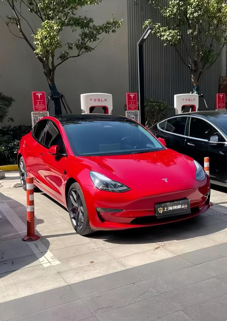 r219659-tesla-model-3-2022_0