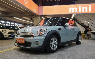 r219688-mini-2014_0