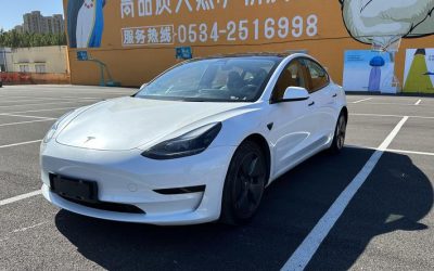 r219713-tesla-model-3-2021_0