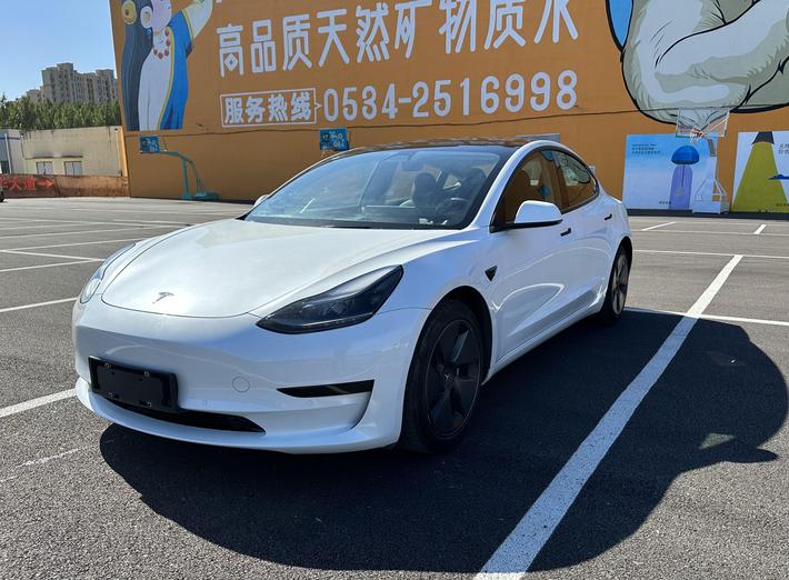 r219713-tesla-model-3-2021_0