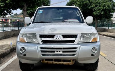 r219721-mitsubishi-pajero-2008_0