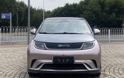 r219732-byd-dolphin-2022_0