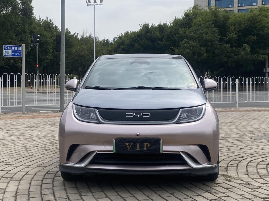 r219732-byd-dolphin-2022_0