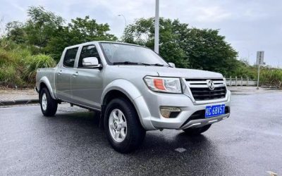 r219761-dongfeng-ruiqi-2019_0