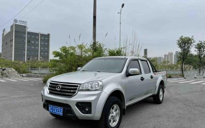 r219770-great-wall-wingle-5-2019_0