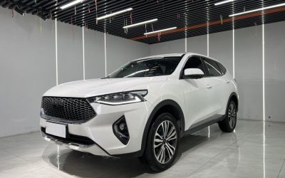 r219772-haval-f7-2020_r219772-haval-f7-2020_0