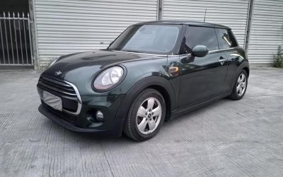 r219796-mini-2017_0
