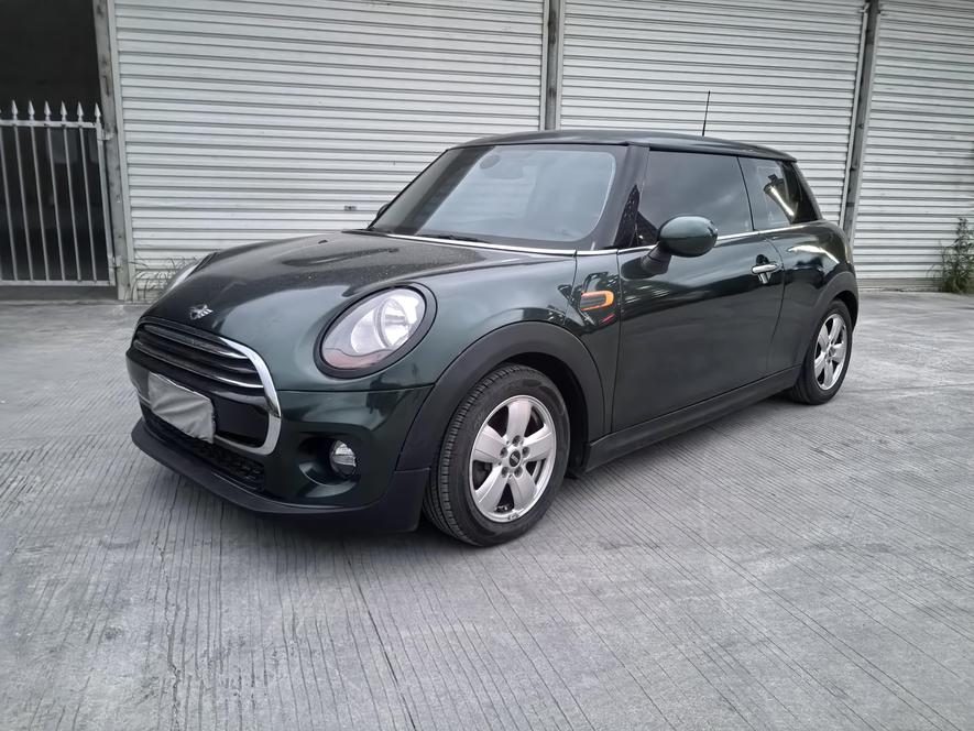 r219796-mini-2017_0