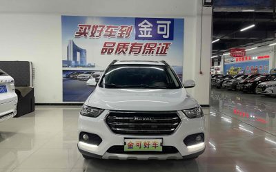 r219806-haval-h6-2020_0
