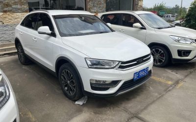 r219851-zotye-sr7-2019_0