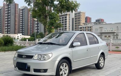 r219889-faw-weizhi-2010_0