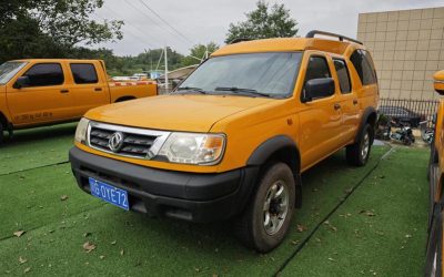 r219961-dongfeng-ruiqi-2015_0
