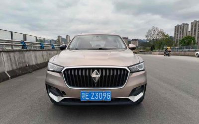 r220088-borgward-bx5-2019_0