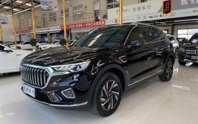 r220089-hongqi-hs5-2022_0