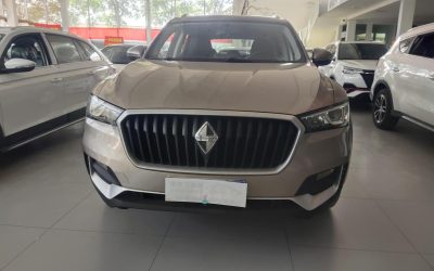 r220120-borgward-bx5-2019_0