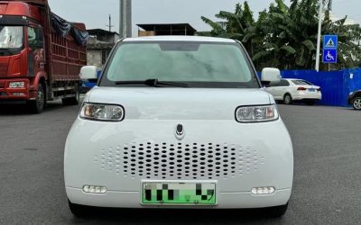 r220281-ora-white-cat-2021_0