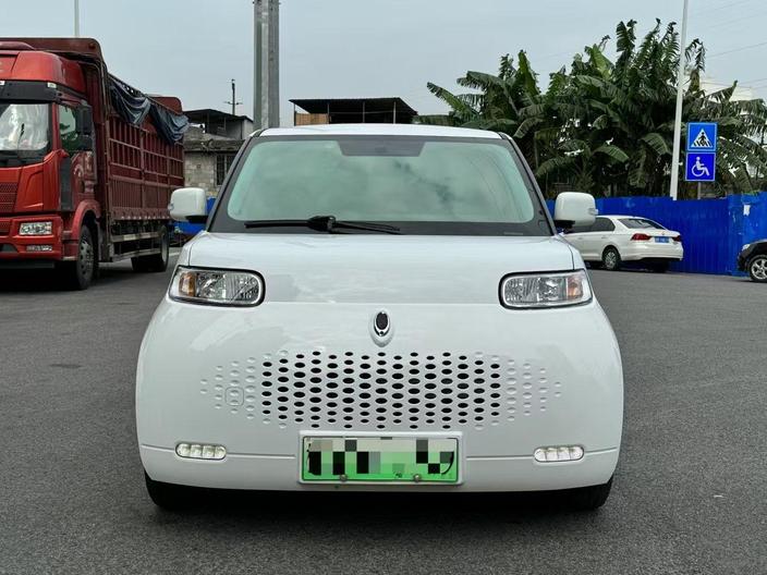 r220281-ora-white-cat-2021_0