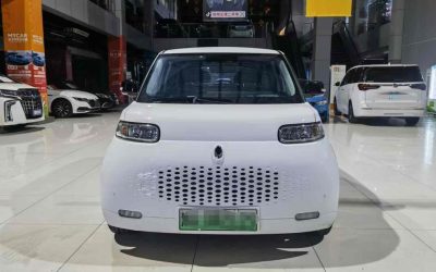 r220332-ora-white-cat-2021_0