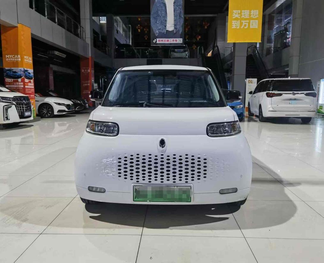 r220332-ora-white-cat-2021_0