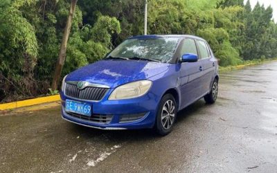 r220485-skoda-fabia-2012_0