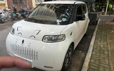 r220599-ora-white-cat-2020_0