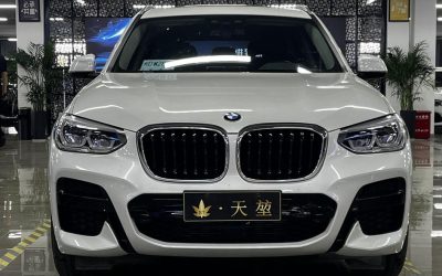 r1013204-bmw-x3-2021_0