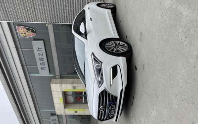 r1013291-hyundai-mistra-2020_0