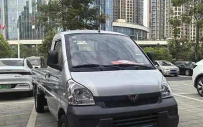 r1013301-wuling-rongguang-light-truck-2023_0