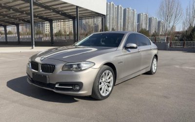 r1013313-bmw-5-series-2013_0